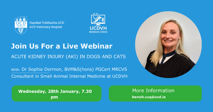 Promotional graphic for a UCD Veterinary Hospital live webinar titled “Acute Kidney Injury (AKI) in Dogs and Cats”, featuring Dr Sophie Dormon, Consultant in Small Animal Internal Medicine at UCDVH, with the date Wednesday 28 January at 7.30 pm.